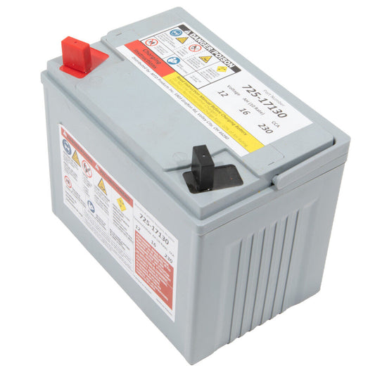 725P17335 Battery (11AHR AGM 210CCA)